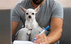 Animaux de compagnie : Le guide ultime pour réduire la facture (Santé & Alimentation) grâce au parrainage