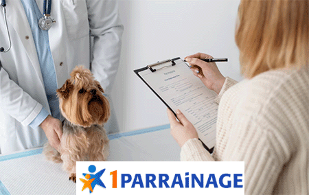 réduire les frais de santé et nourriture pour animaux grâce au parrainage