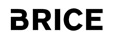 coupon promotionnel Brice
